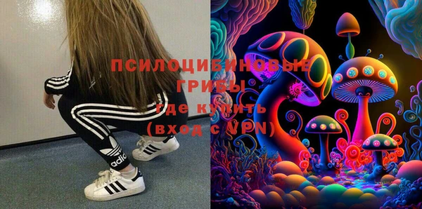 индика Баксан