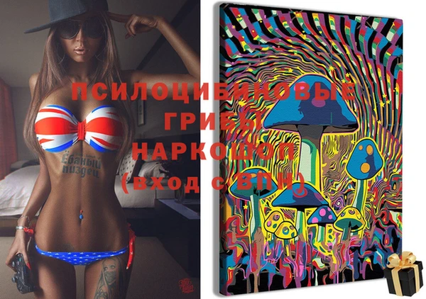 стафф Балахна