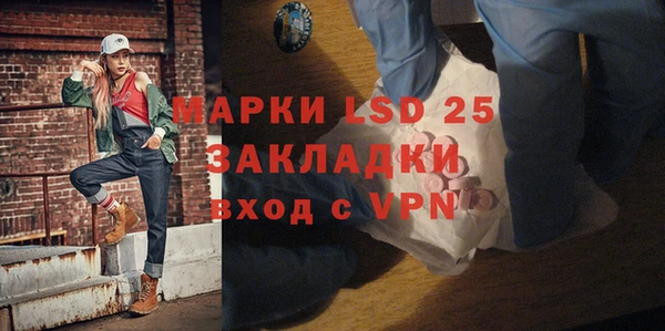 индика Баксан