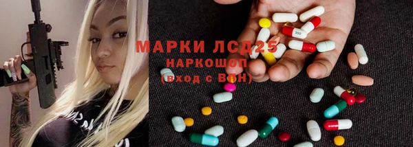 индика Баксан